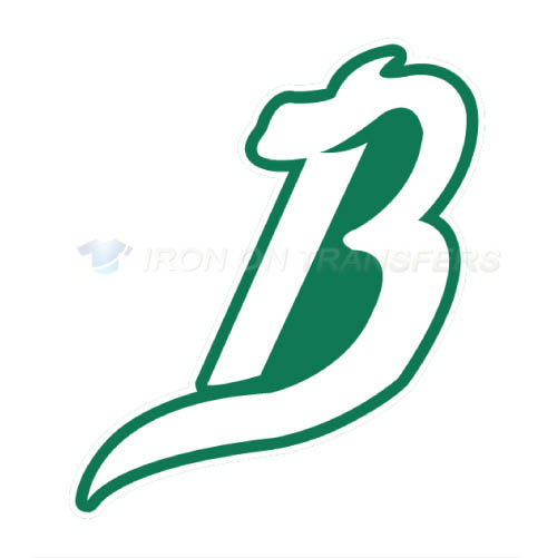 Reynosa Broncos Iron-on Stickers (Heat Transfers)NO.8057